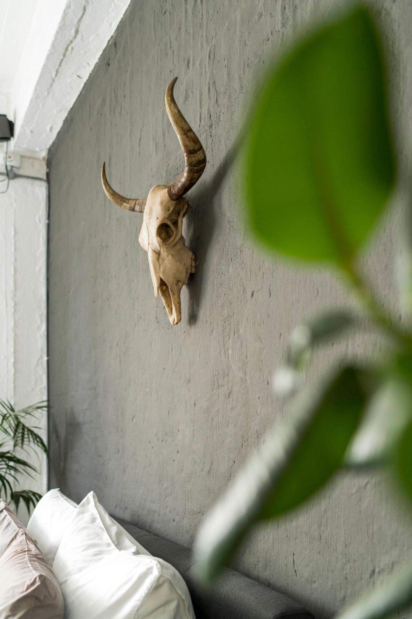 Urban Fox Penthouse By Curiocity Johannesburg Exterior photo